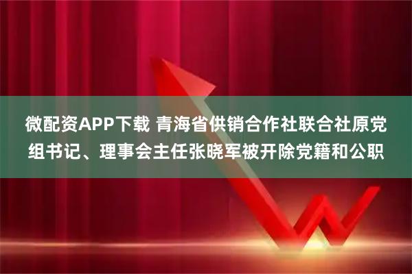 微配资APP下载 青海省供销合作社联合社原党组书记、理事会主任张晓军被开除党籍和公职