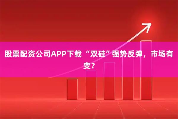 股票配资公司APP下载 “双硅”强势反弹，市场有变？