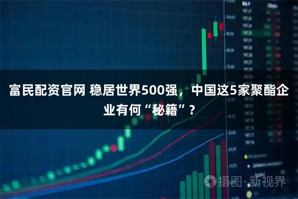 富民配资官网 稳居世界500强，中国这5家聚酯企业有何“秘籍”？